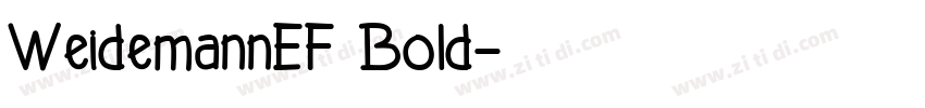 WeidemannEF Bold字体转换